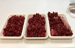 Frozen Sugar Packed Montmorency cherries